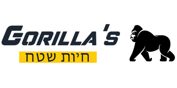 לקוח 3
